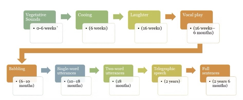 Developing Early Language Skills: Stages of Language Development